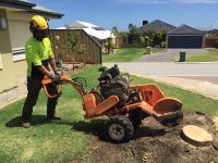 Chippers Tree Service image 12